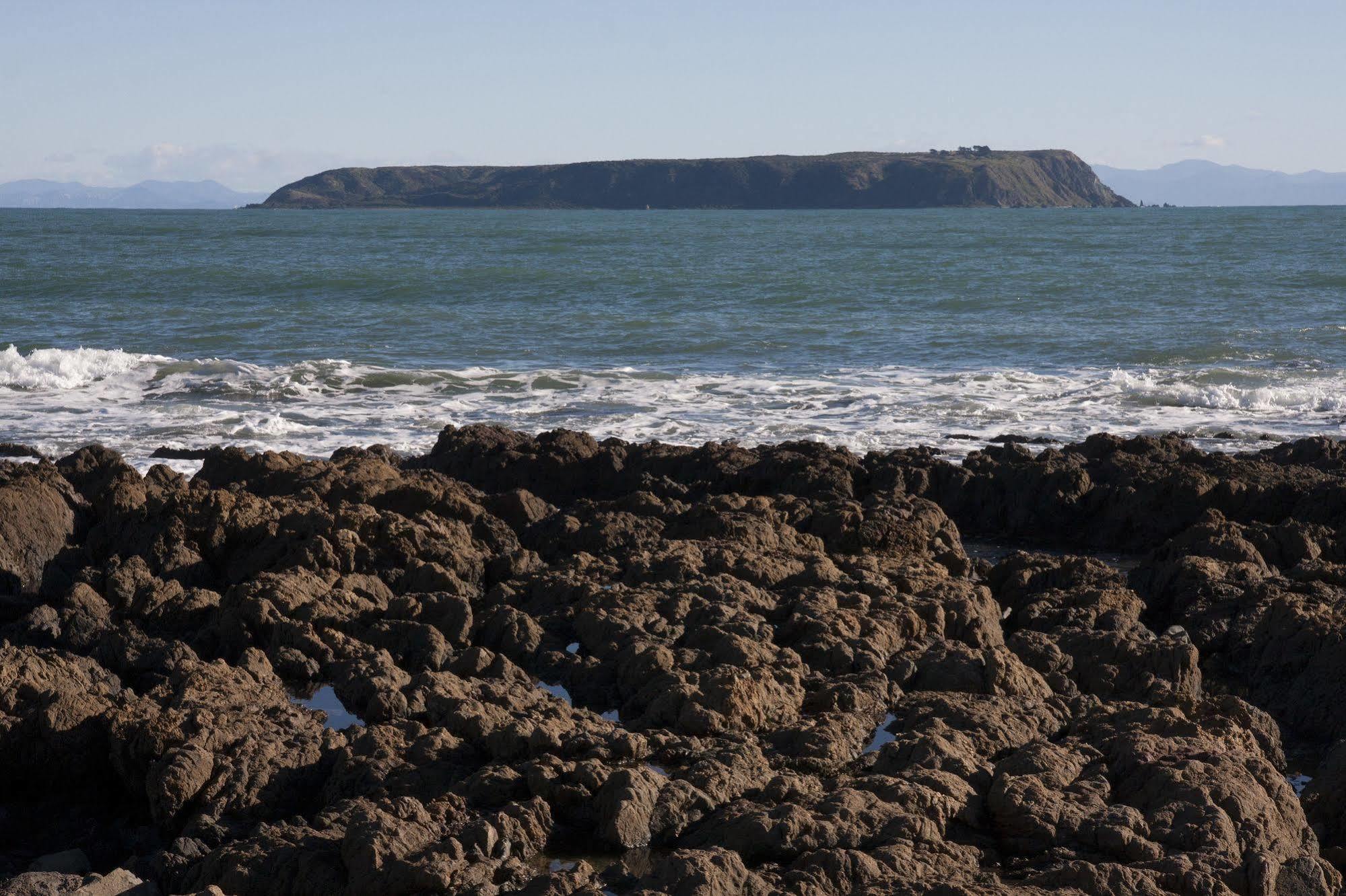 Moana Lodge Plimmerton Экстерьер фото