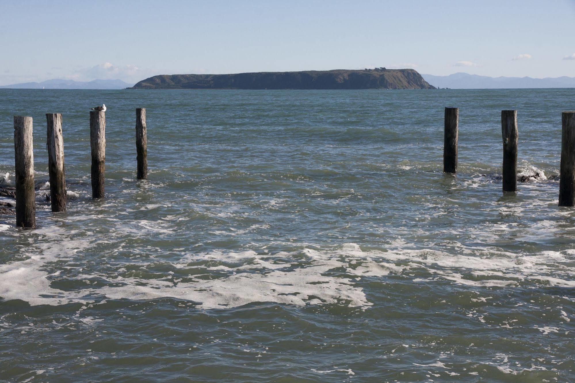 Moana Lodge Plimmerton Экстерьер фото